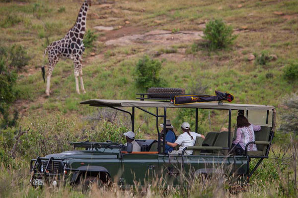 5 Days The Great Migration